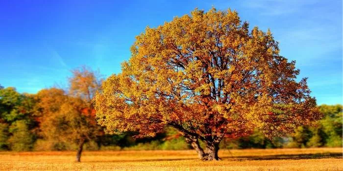 Mazury Jesienią - niezwykły region o tej porze roku