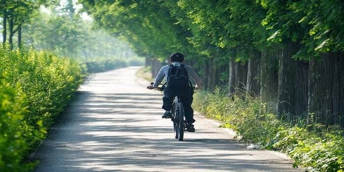 Najciekawsze szlaki we wschodniej Polsce na wyprawę rowerową