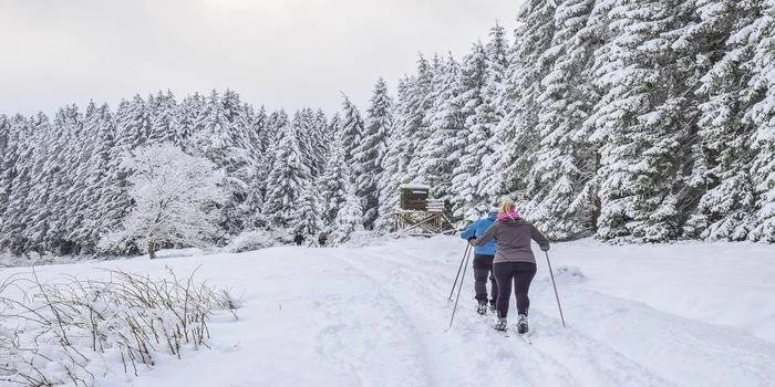 Najpiękniejsze trasy na narty biegowe w Polsce